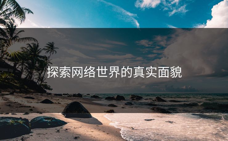 探索网络世界的真实面貌