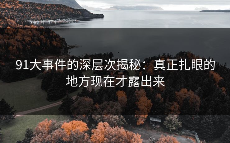 91大事件的深层次揭秘:真正扎眼的地方现在才露出来