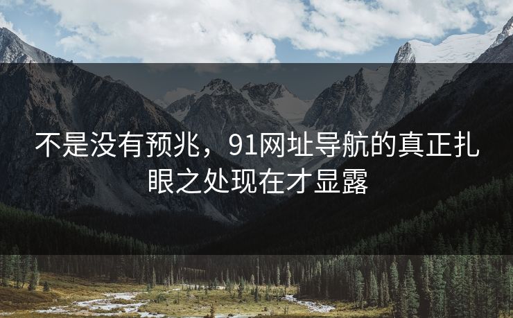 不是没有预兆,91网址导航的真正扎眼之处现在才显露